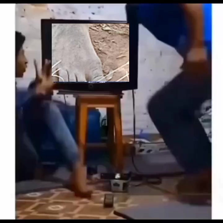 @user7318858624424