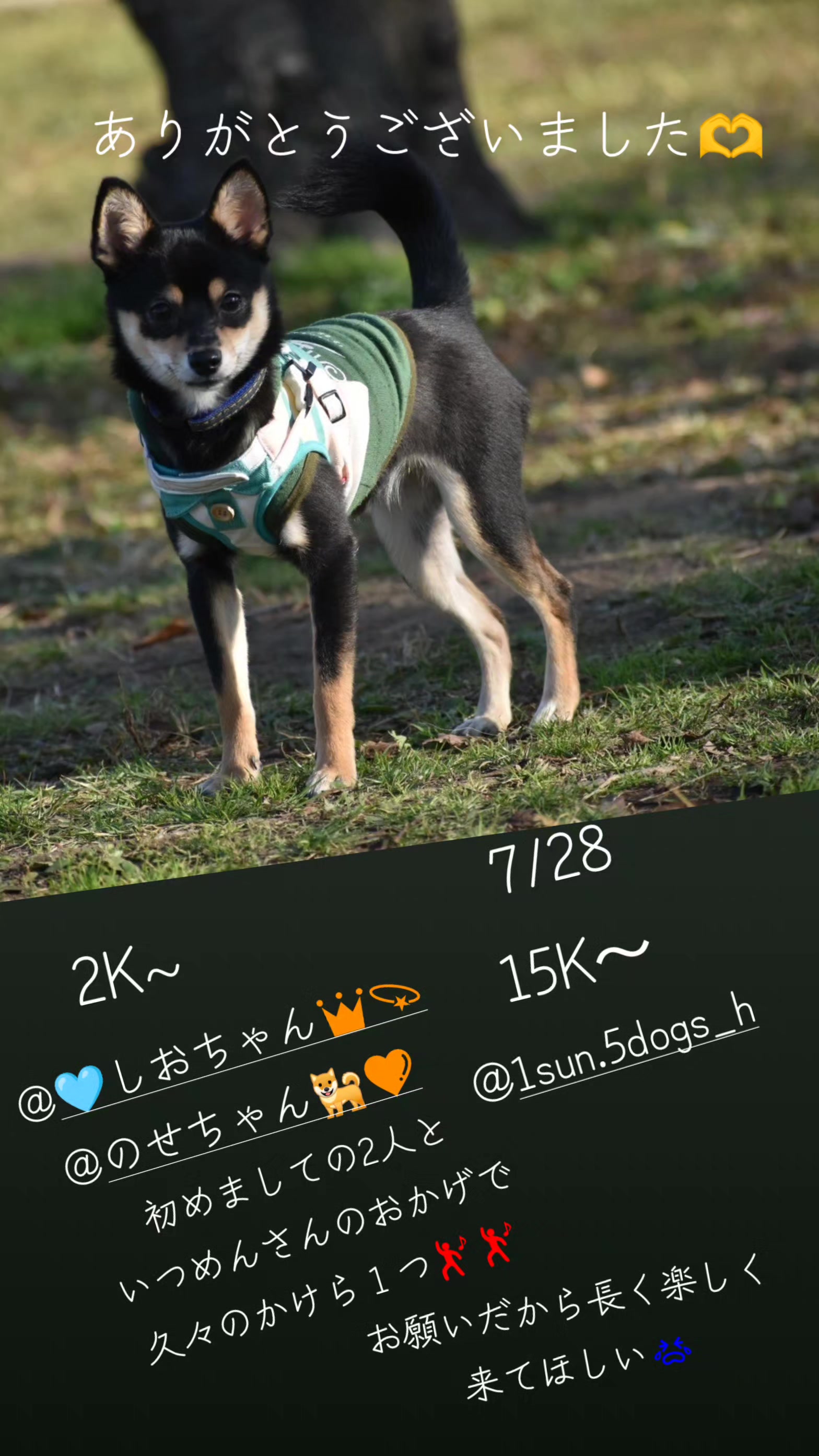 @🍀🍦きむ🍀🍦Kim🍀🍦キム🍀🍦