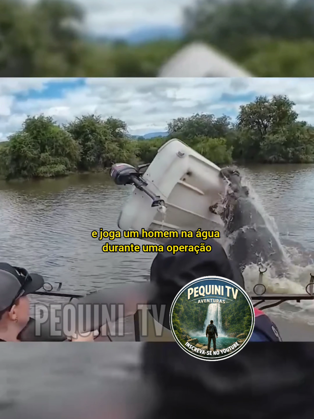 @PEQUINI TV