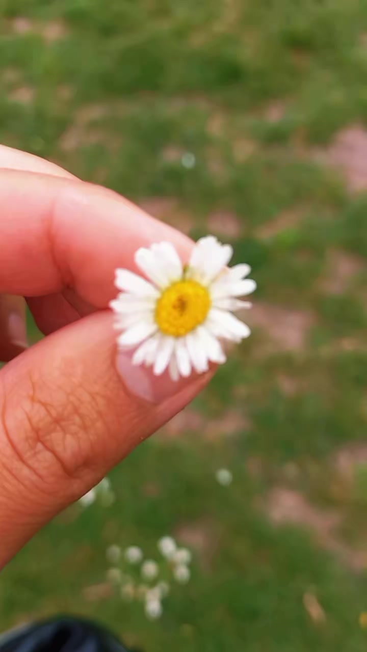 @khanukaeva_