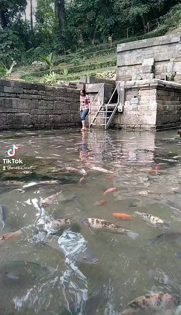 @ERWIKA 🇮🇩
