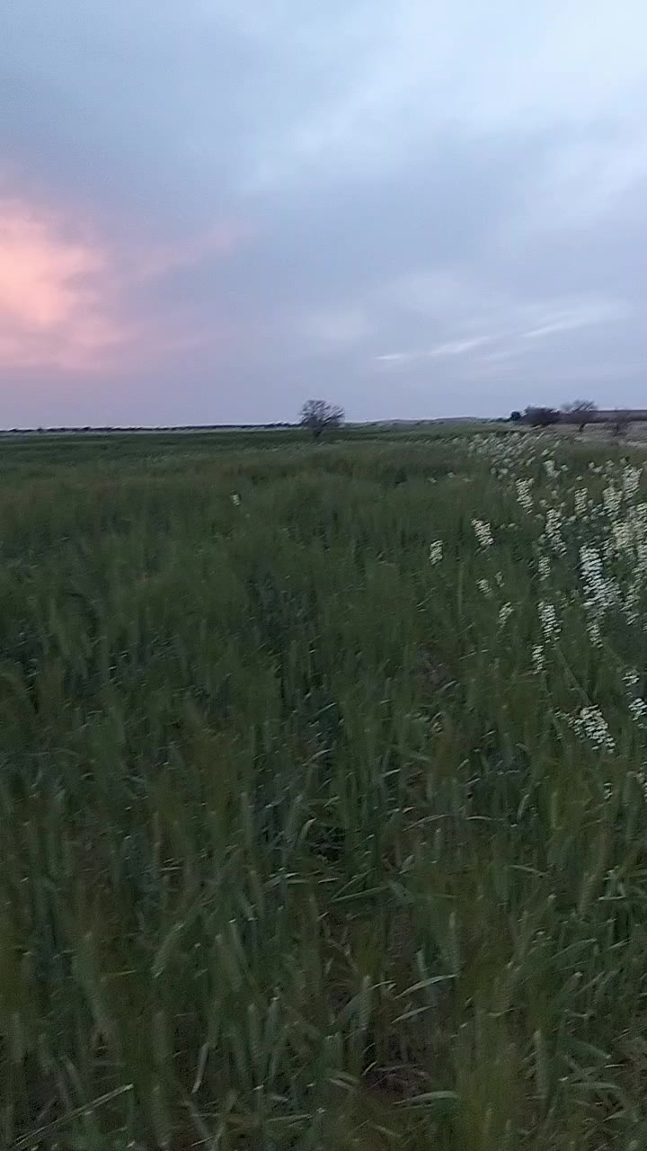 @أسامة غربي بريكة 61