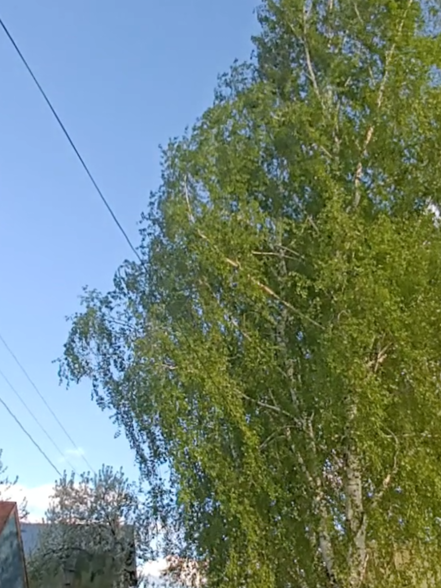 @Валерия 🩶