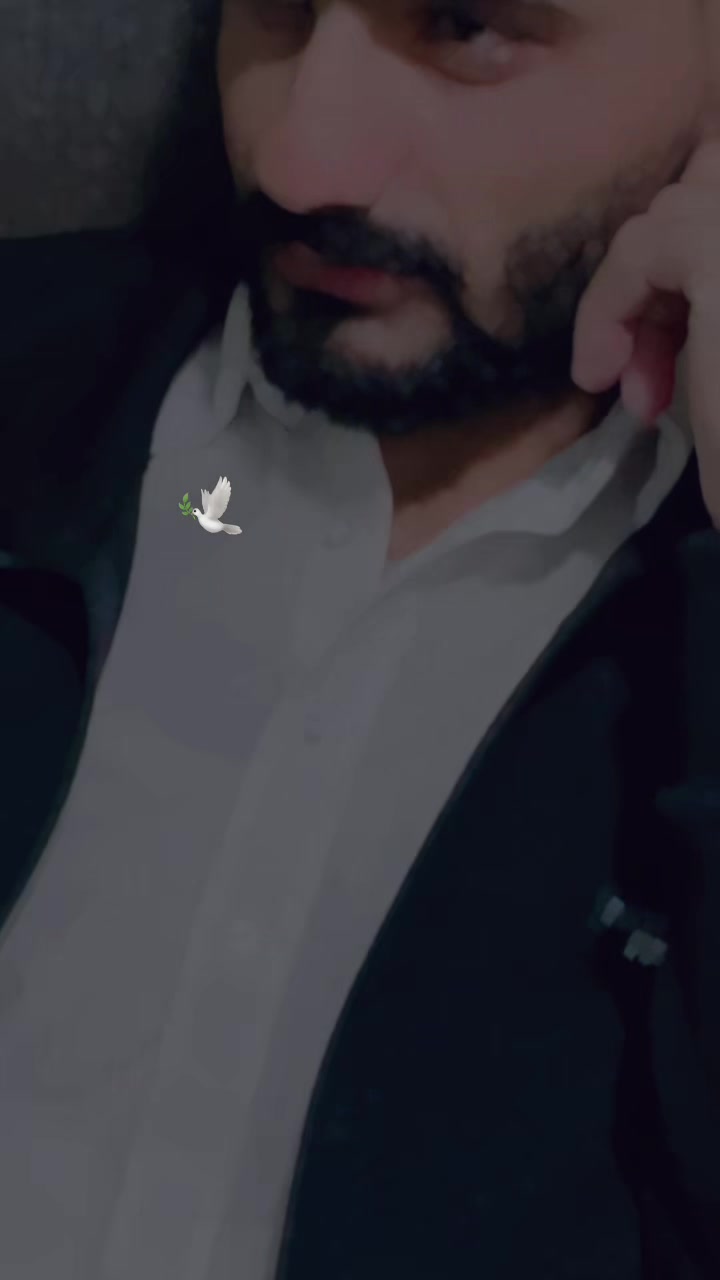 @Raja Arslan