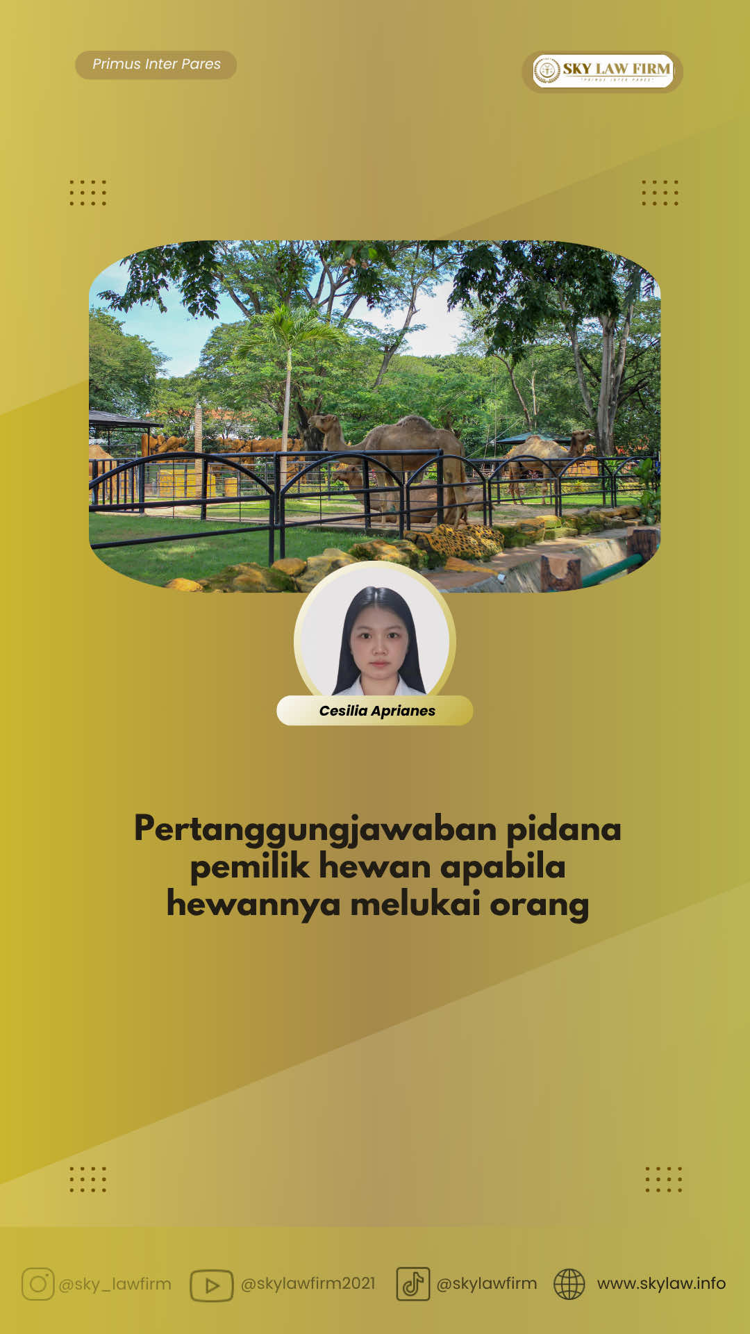 @SKY Law Firm