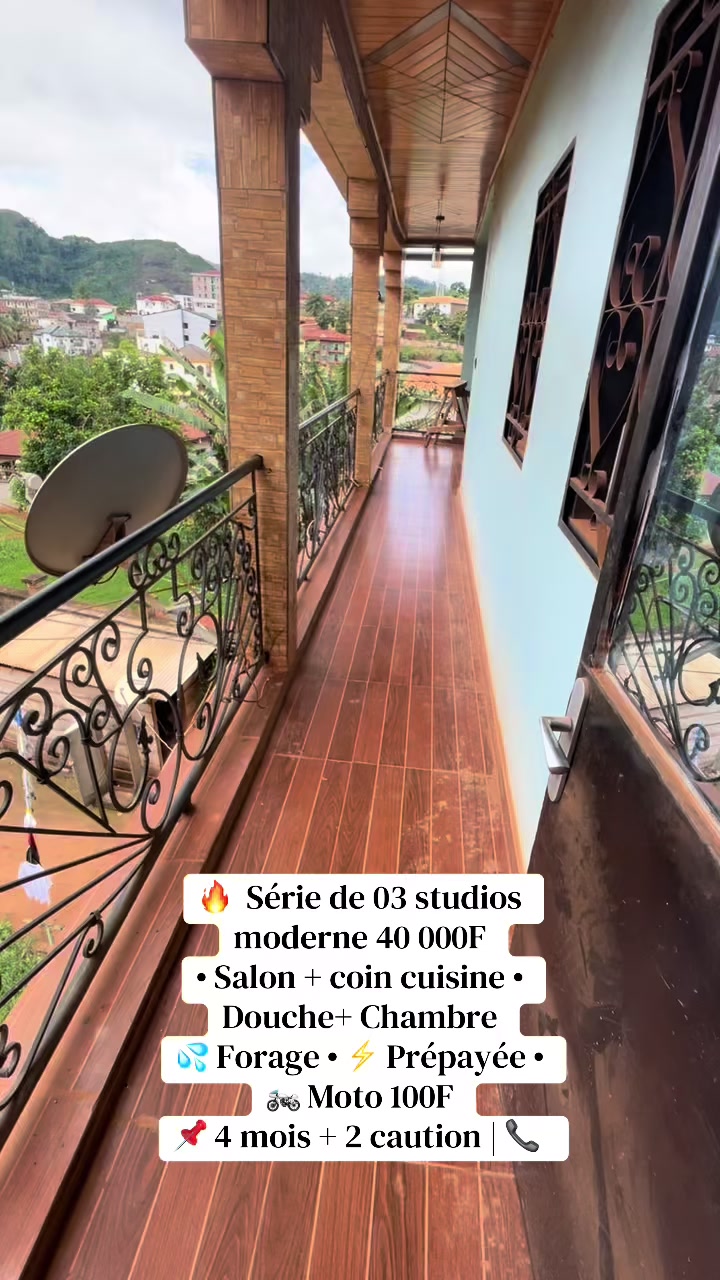 @DINO~IMMO~237🇨🇲🇨🇲