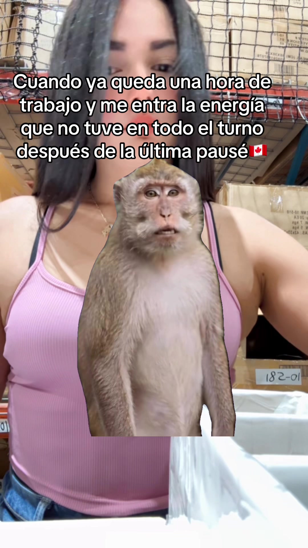 @Lamaracucha_02