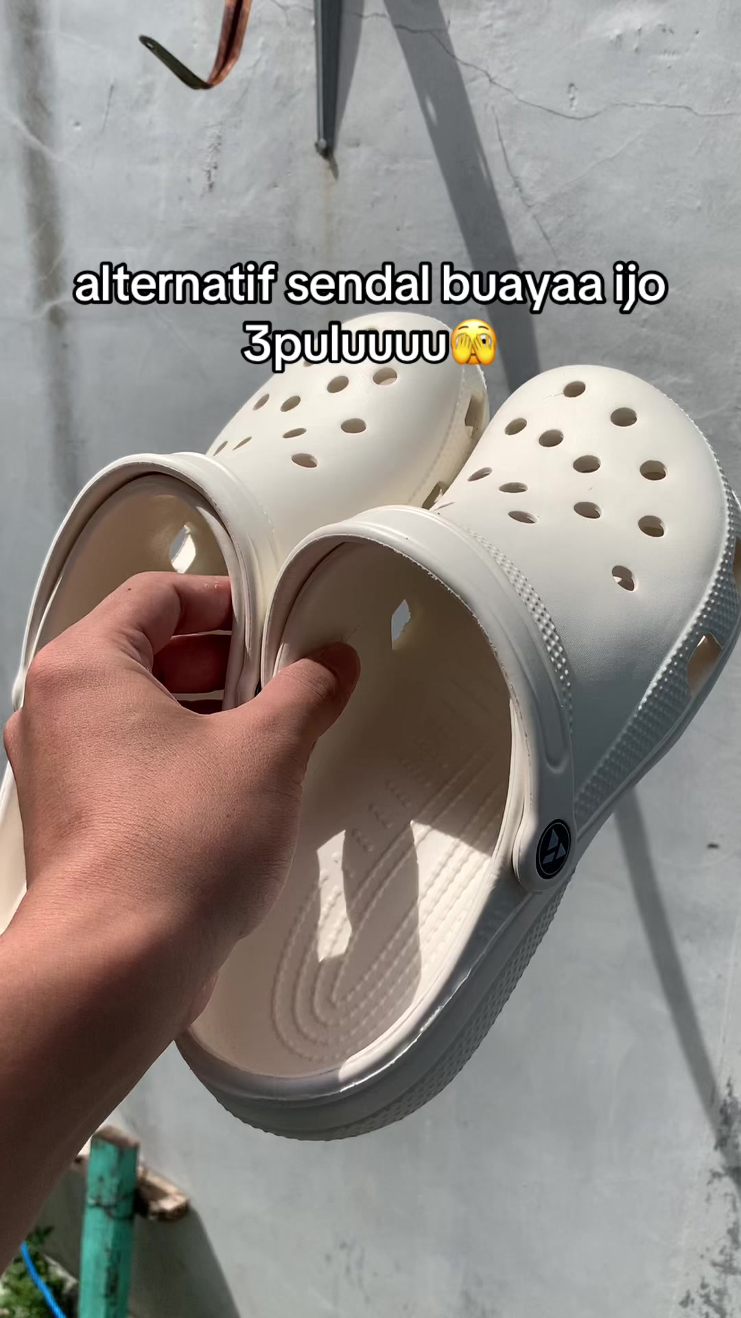 @LekSur🛒🛍