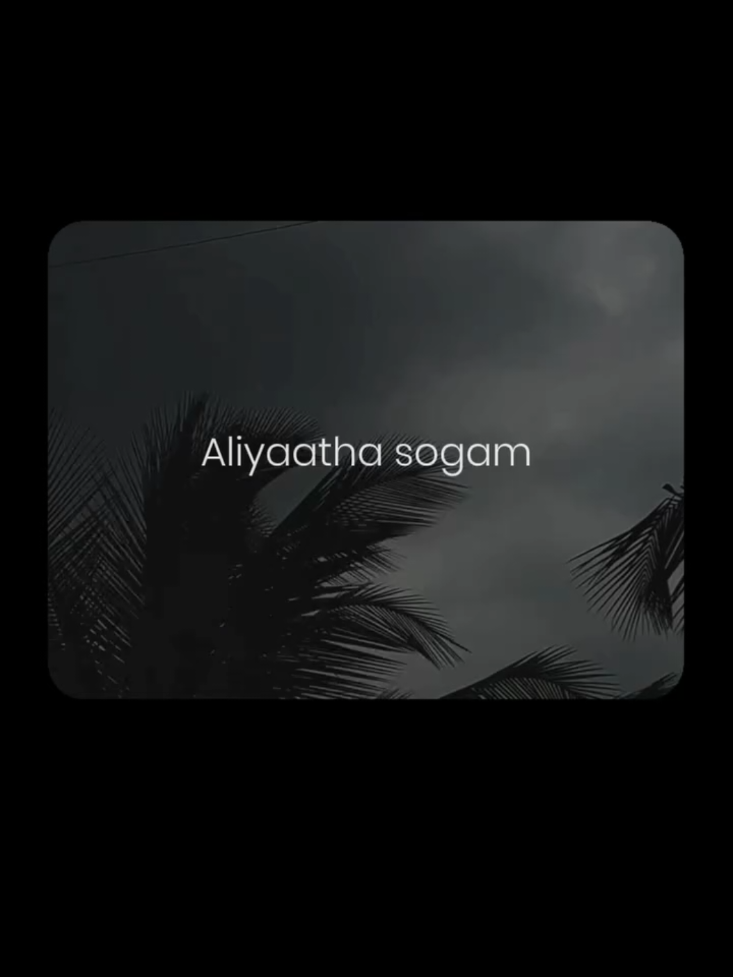 @Syr