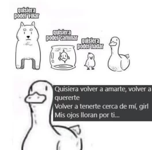 @Jerry