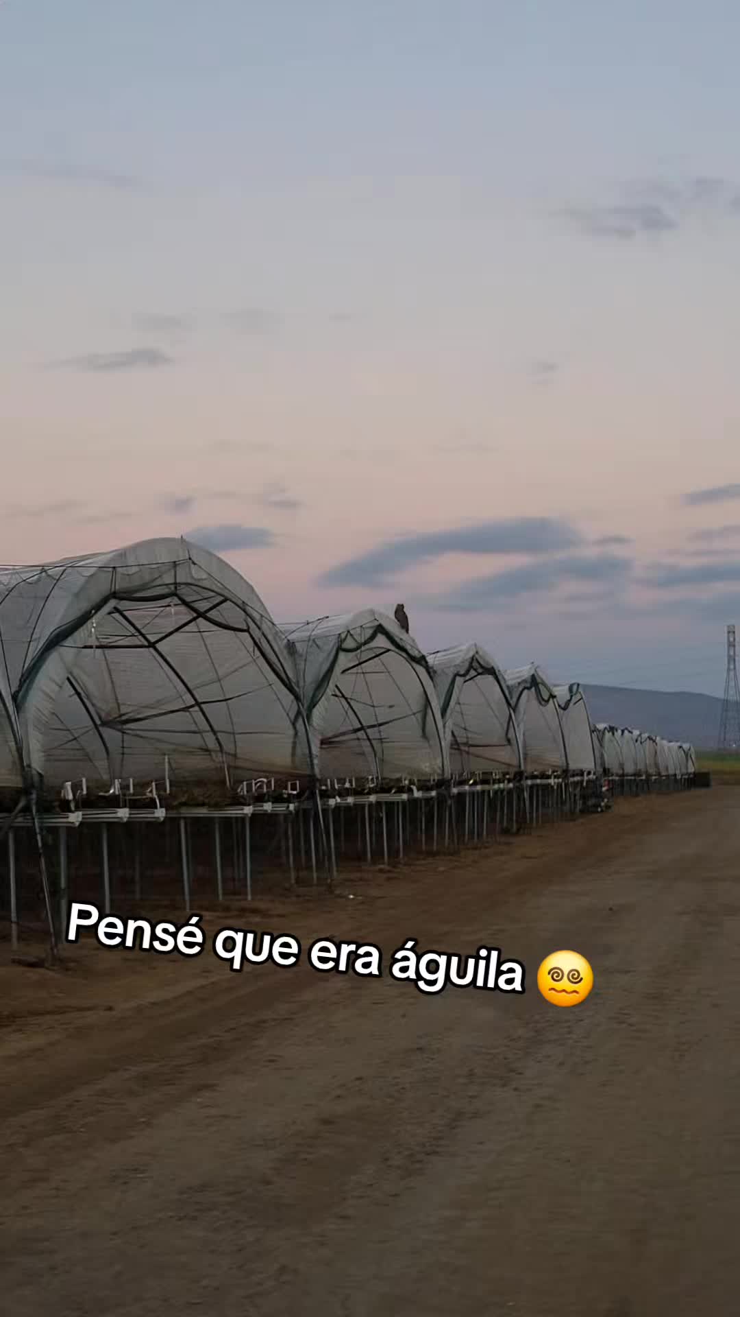 @JennyMorales08