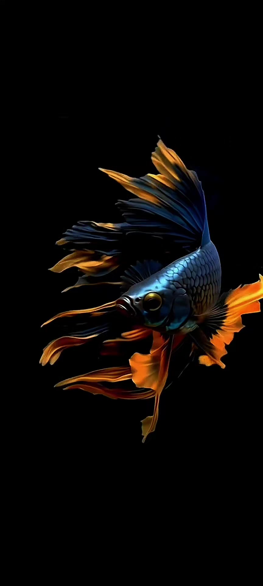 @Live wallpaper