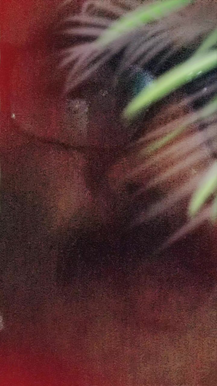 @b. r. t๐น๐น๐น๐น๐น๐น๐น๐น