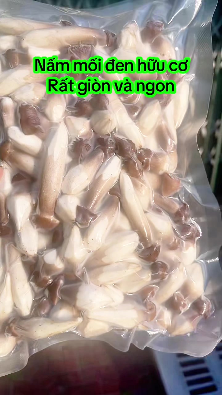 @nguyentuyet_79