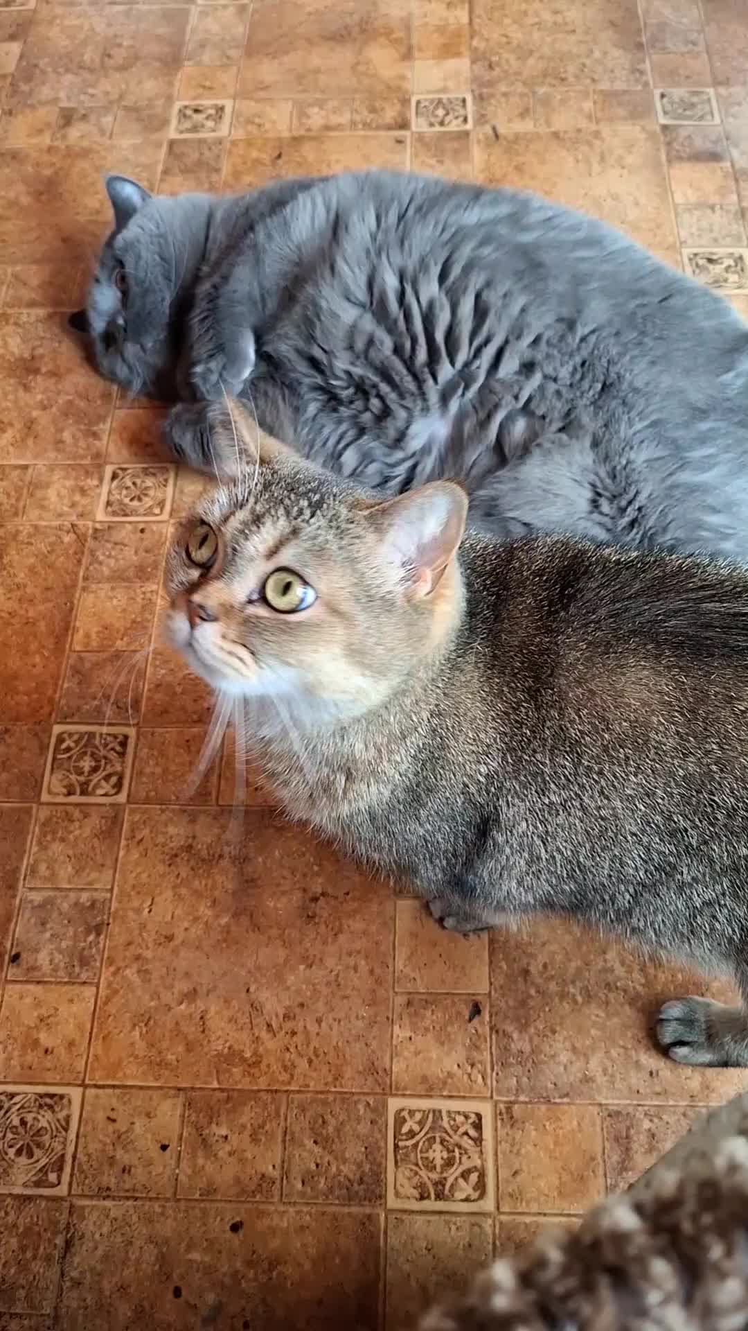 @Жанночка