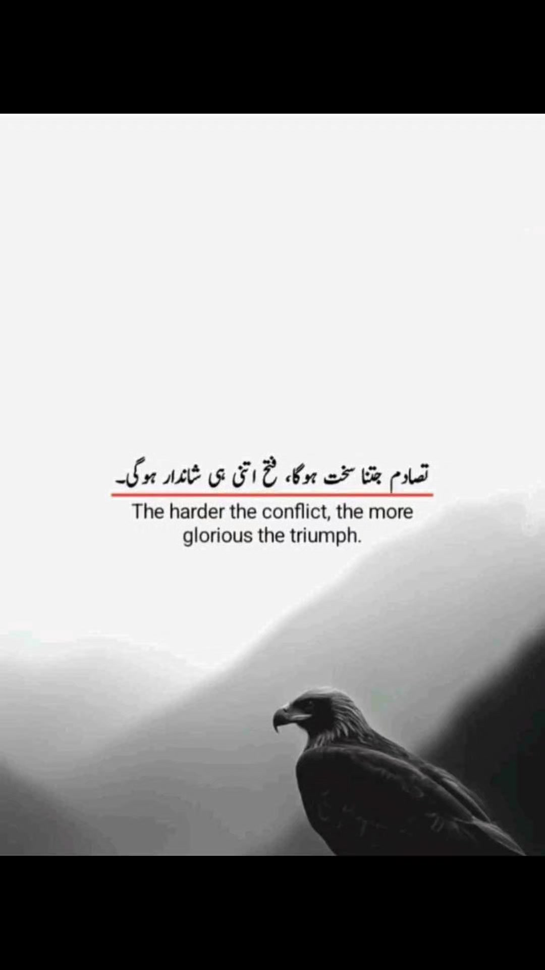 @Ali Adil