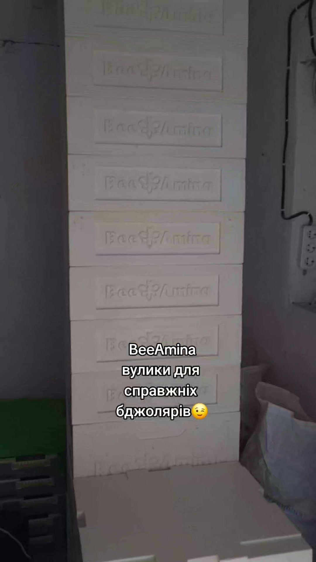 @BEEAMINA