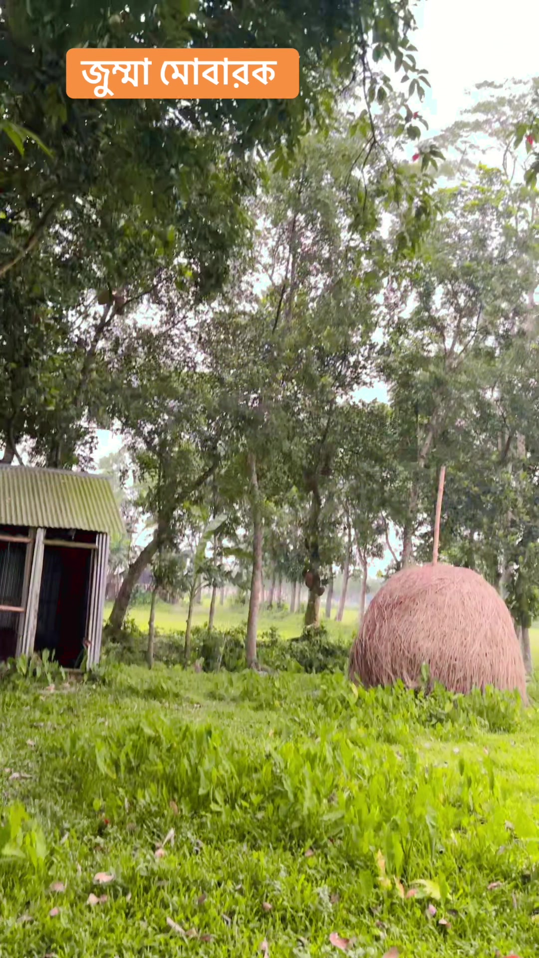 @প্রেম সুজন