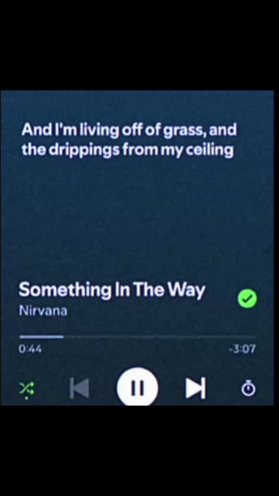 @Nirvana lover😼 12345678910