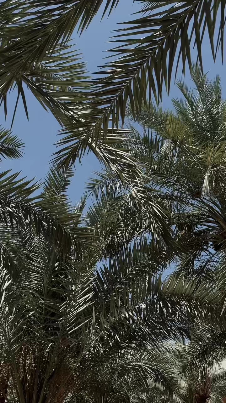@هــ