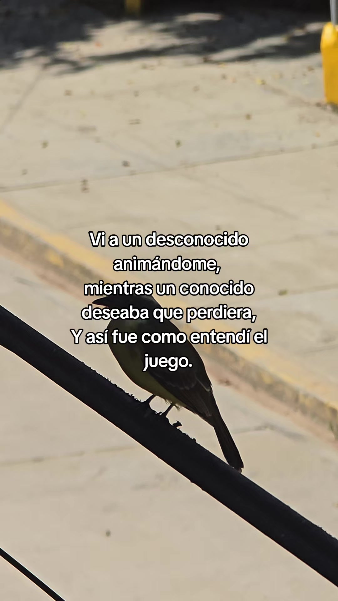@Denis@chuqui