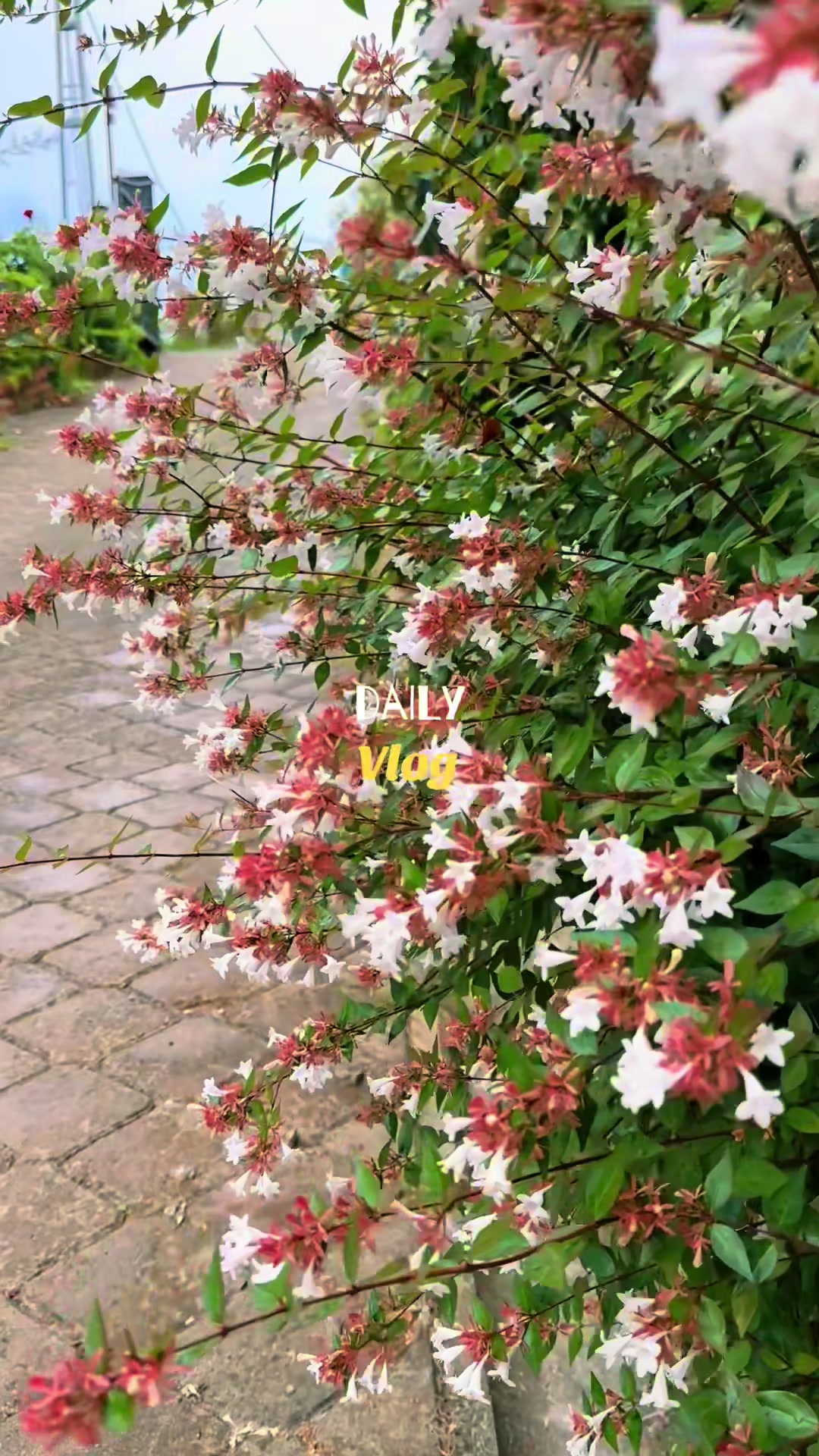 @رِجْم 📸