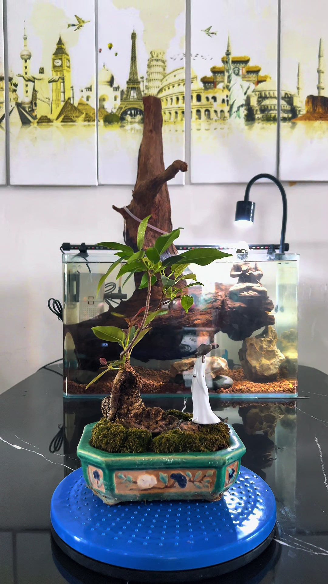 @Minh Phong Bonsai