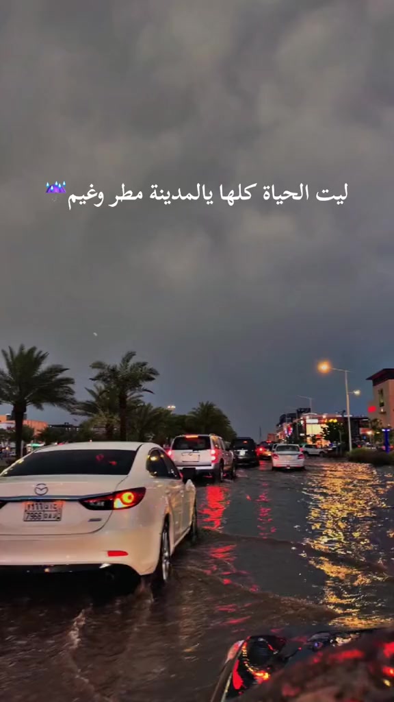 @عٌبًوٌدٍ آلَمًنِصّوٌريَ 🌴