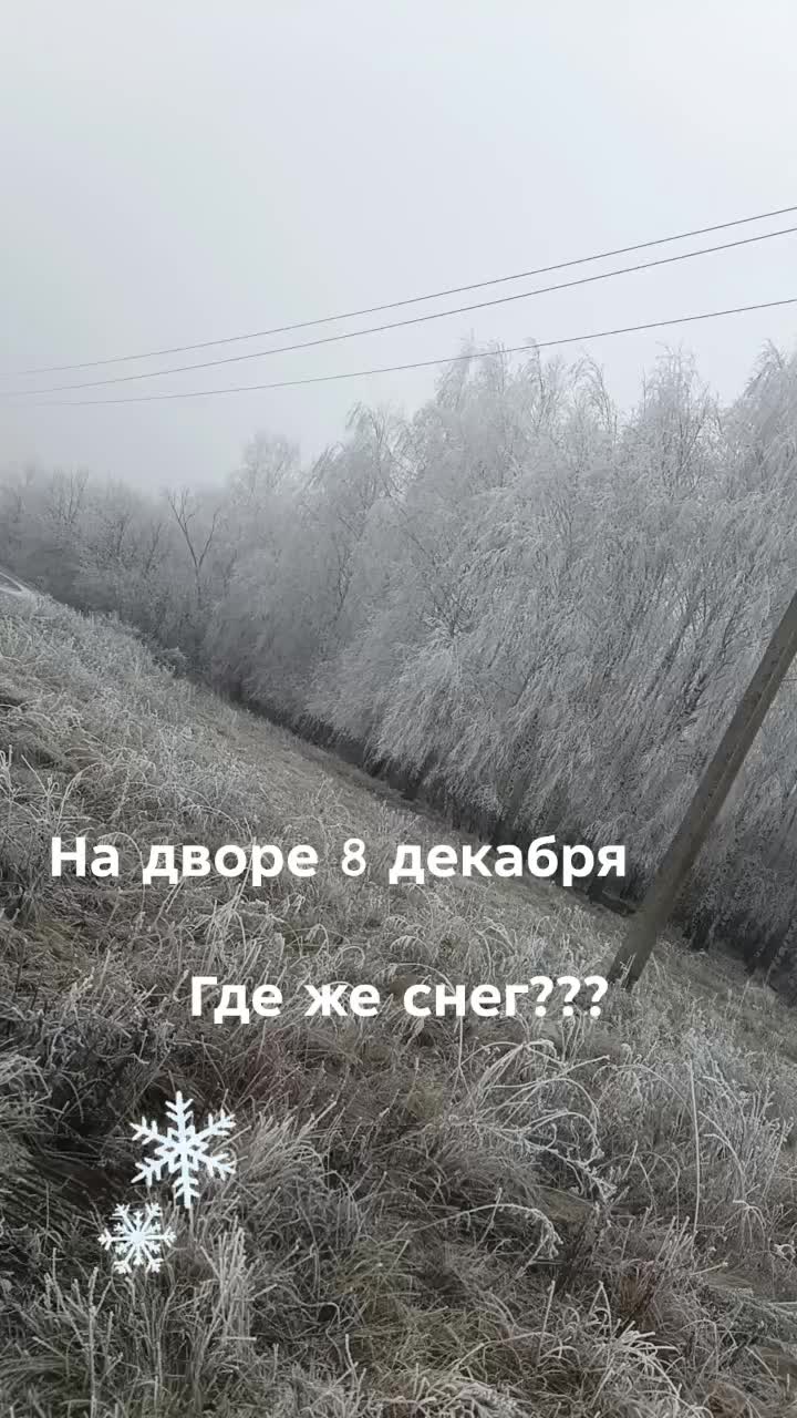 @Татьяна Матвеева