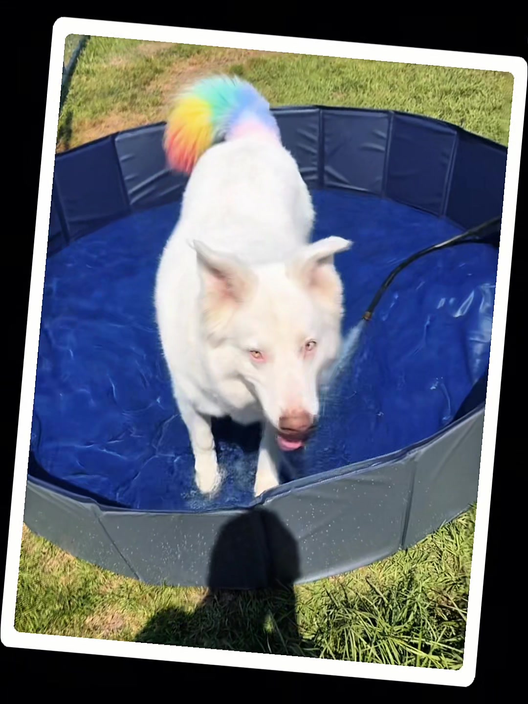 @BRITT🏳️🌈