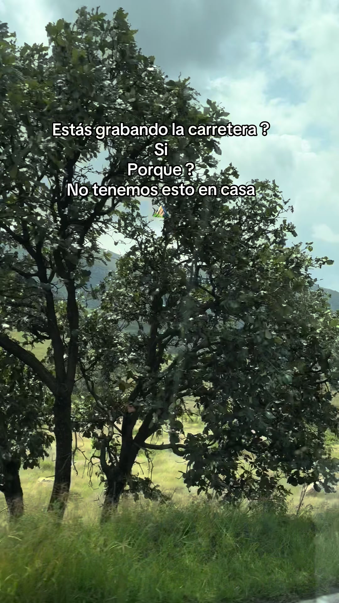@Belen Ryz