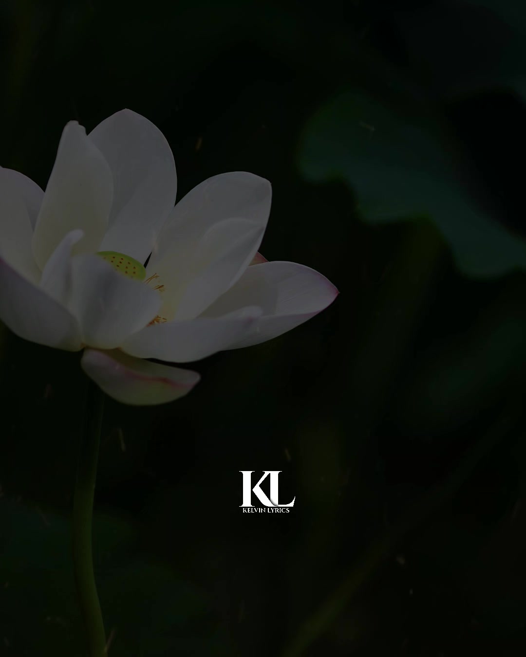 @𝐊𝐈𝐍𝐆 𝐎𝐅 𝐋𝐘𝐑𝐈𝐂𝐒