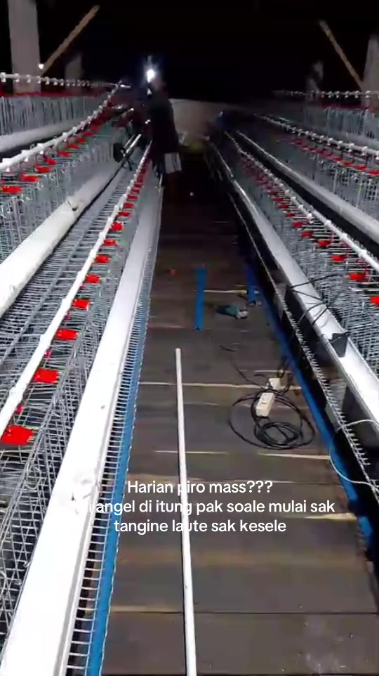 @TERNAK KITA