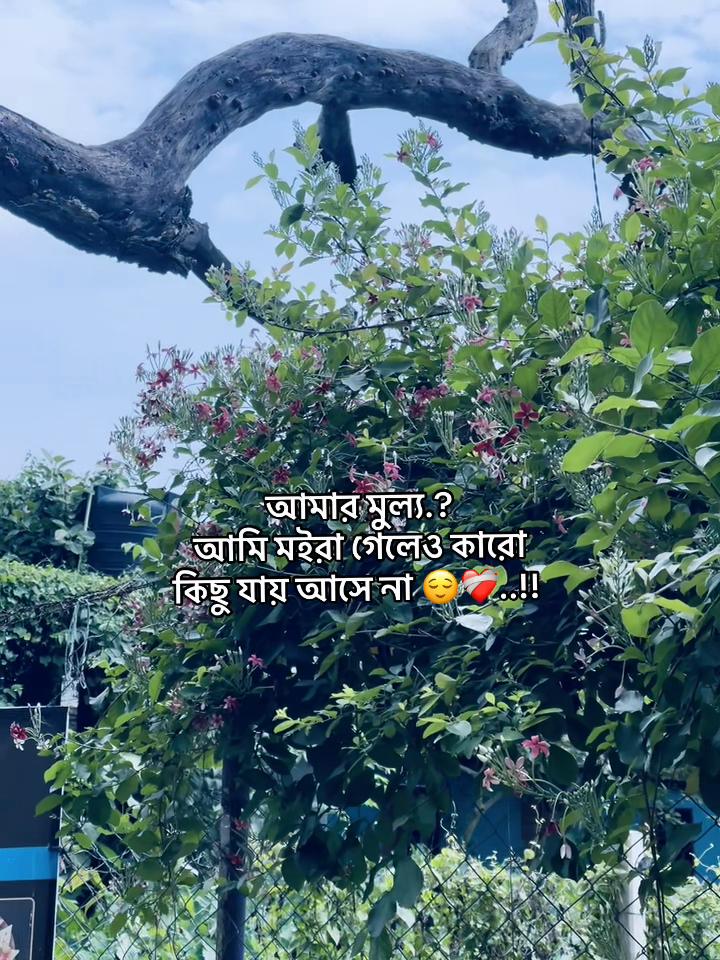 @L u c K y 🕊️