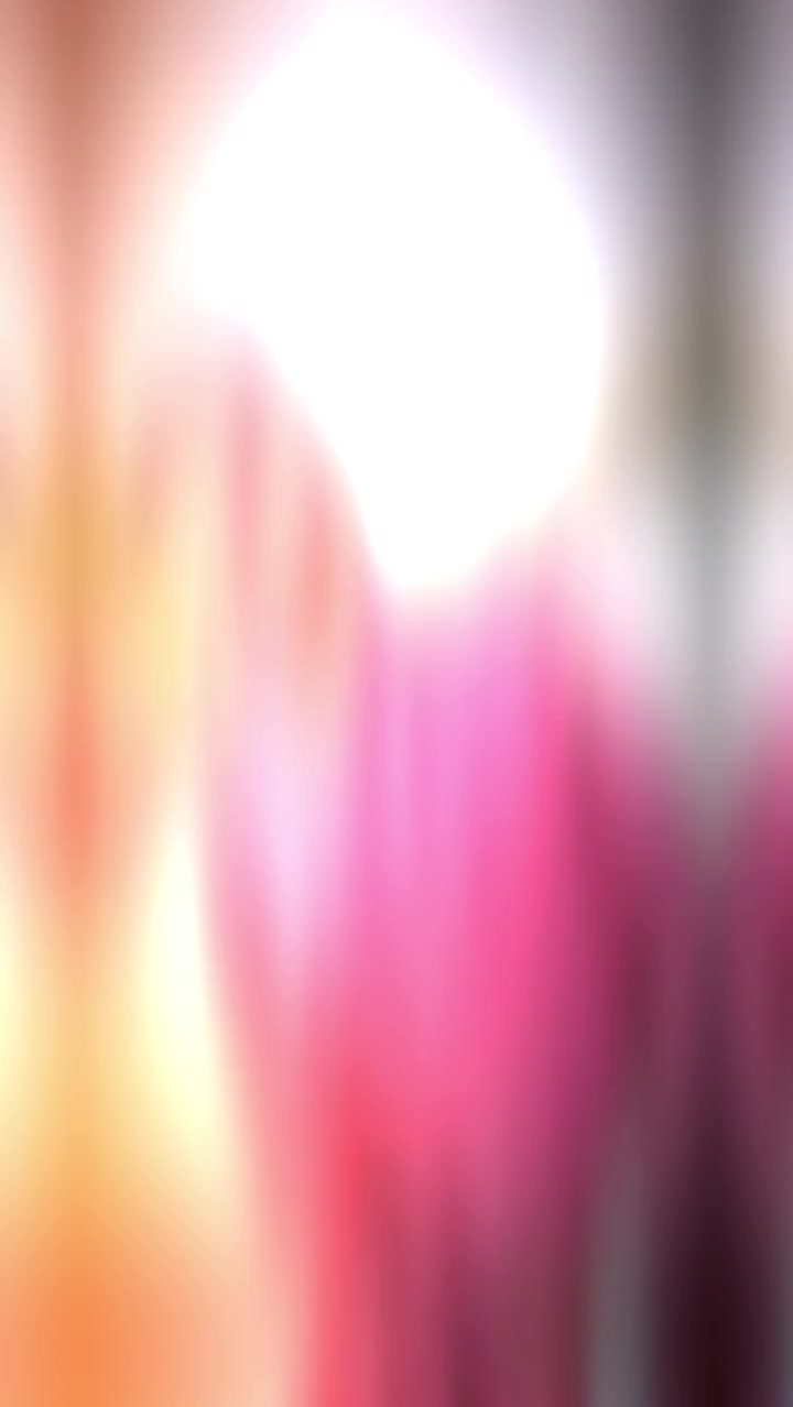 @𝐏𝐊 ▪️ 𝚅𝚒𝚗𝚞 🤎🌾