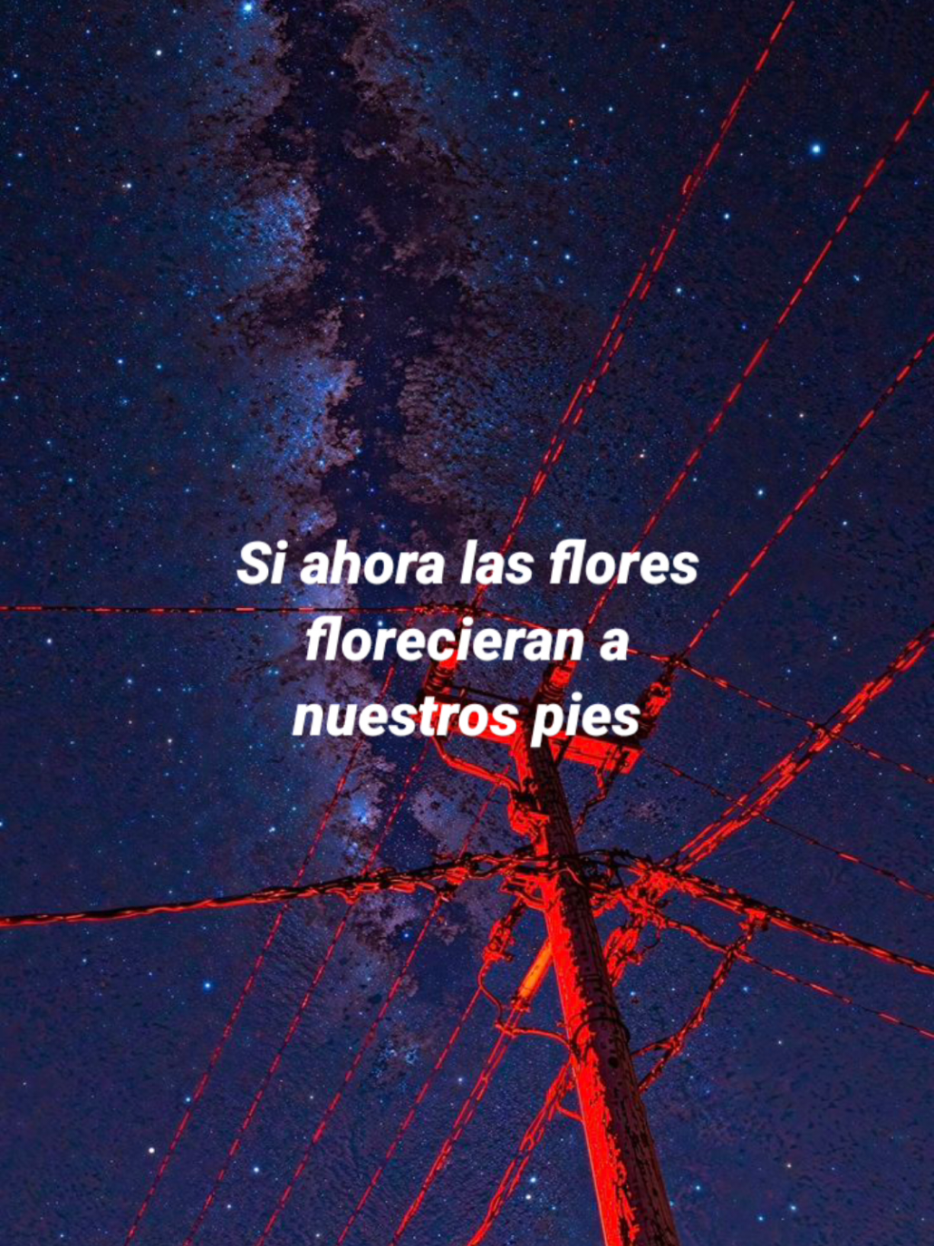 @✨️Angel✨️