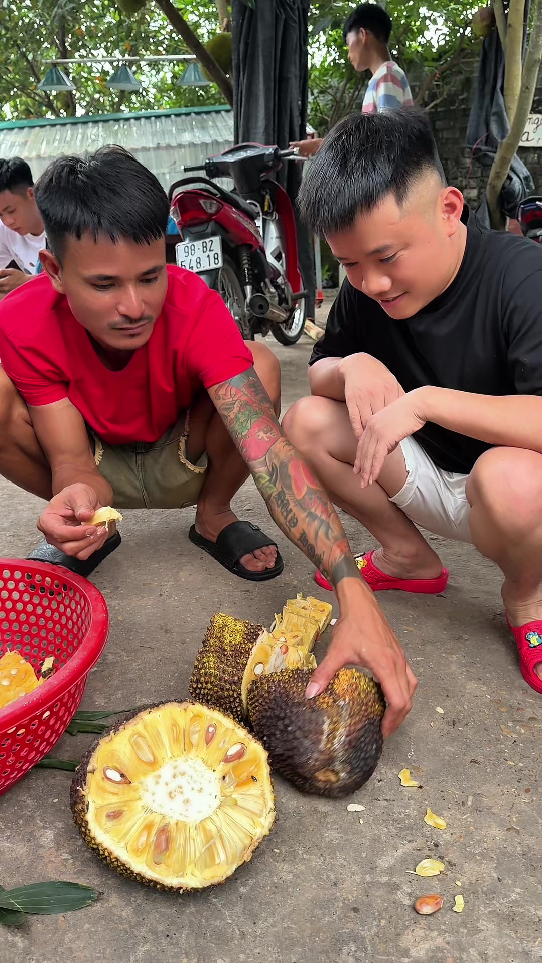 @Nguyễn Văn Hậu (Hậu Troll)