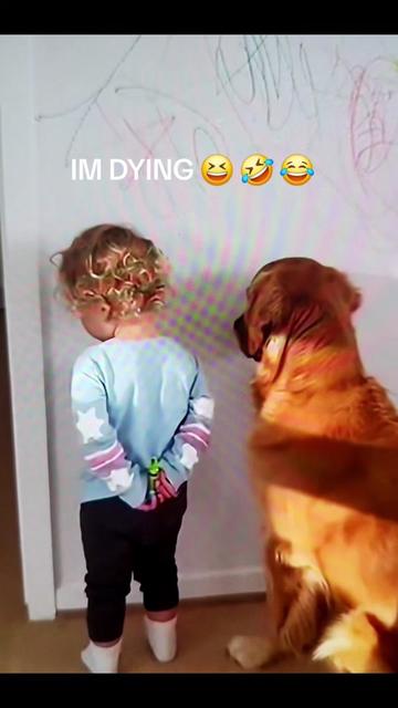 @maxryanjames