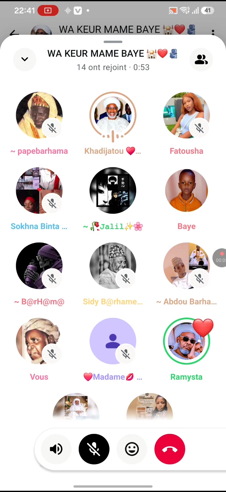 @Saliou Barham ☪