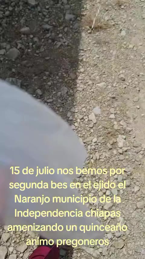@Los pregoneros del trapichito