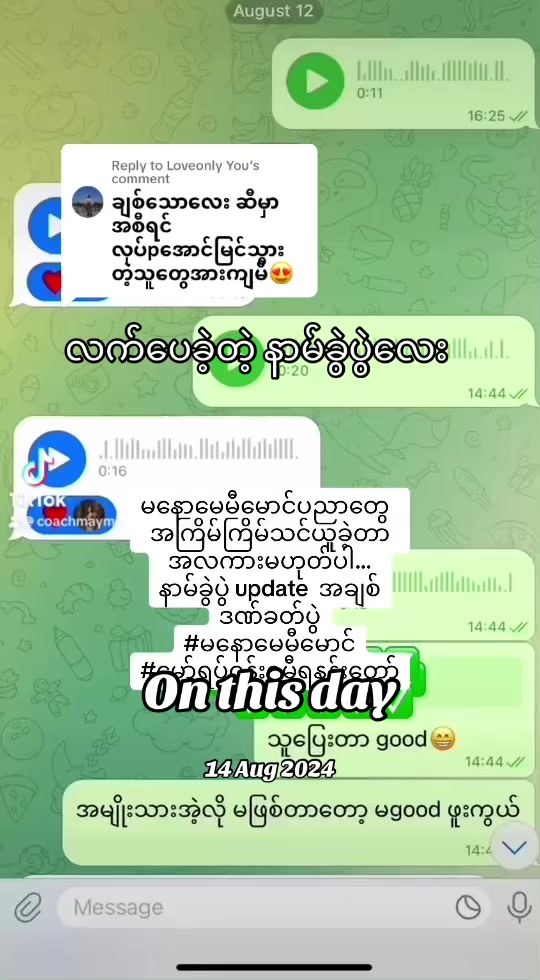 @မနောပါရမီရှင် ဆရာမမေမီမောင်