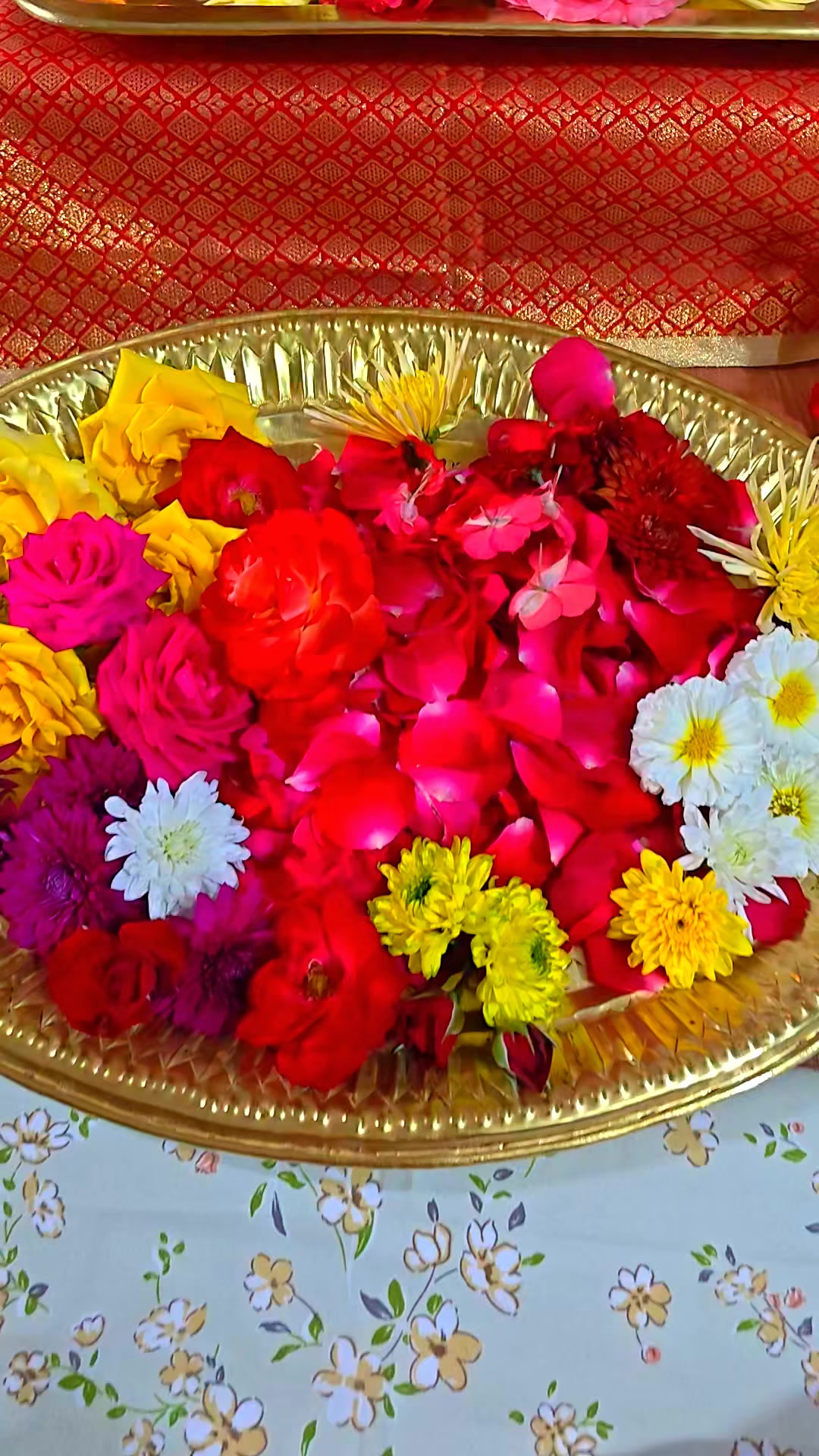 @Manojkshrestha🔱🔱🕉️🕉️