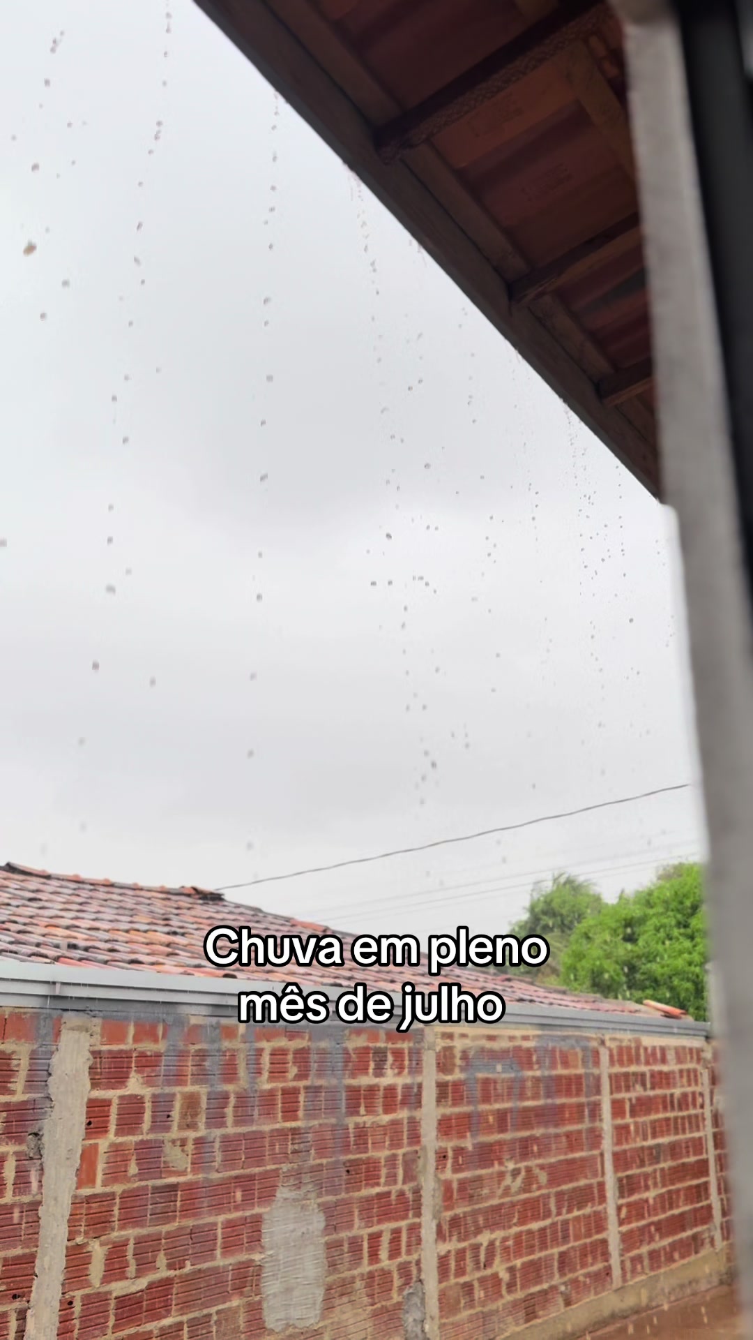 @nandoocoutt
