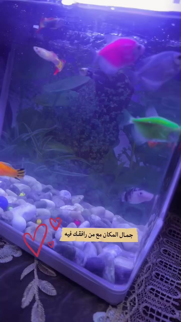 @MARWA