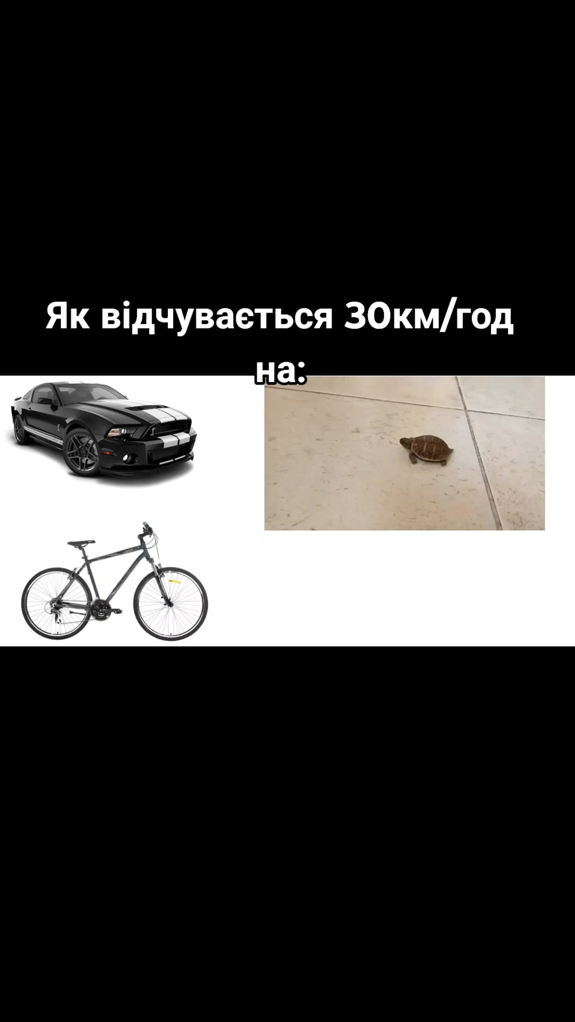 @HOMA