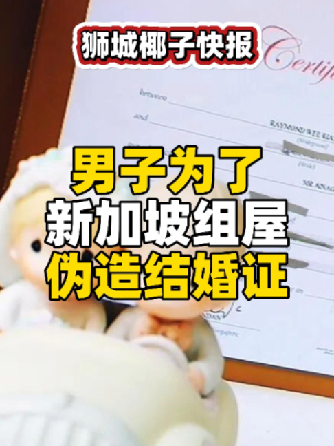 @新加坡狮城椰子
