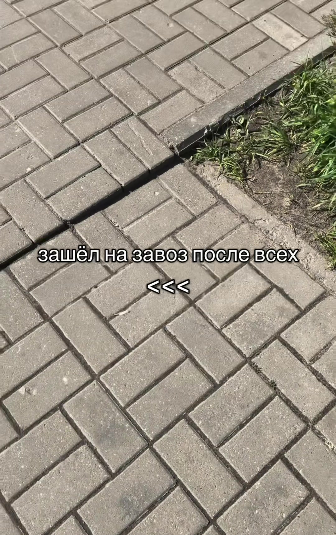 @snap