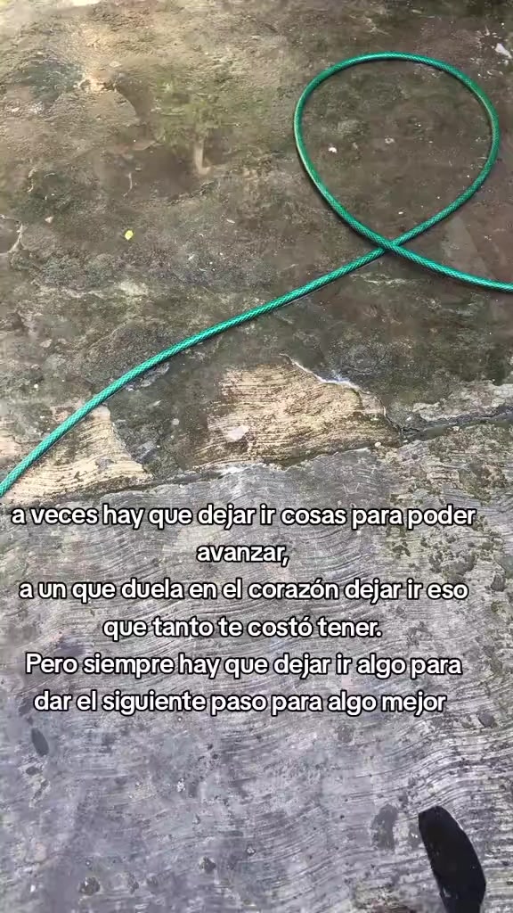 @Adrian 🕷️
