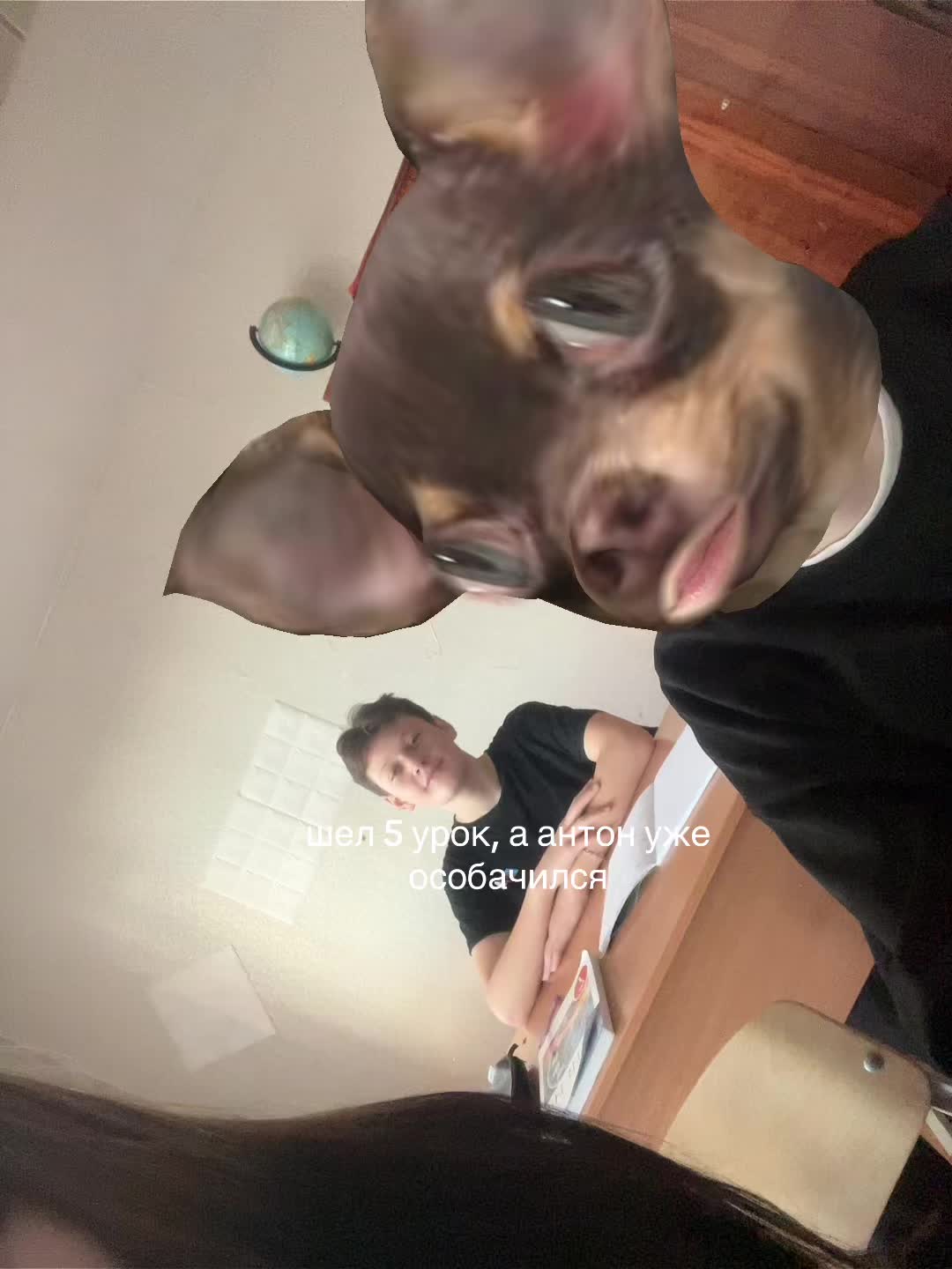 @polli.ss