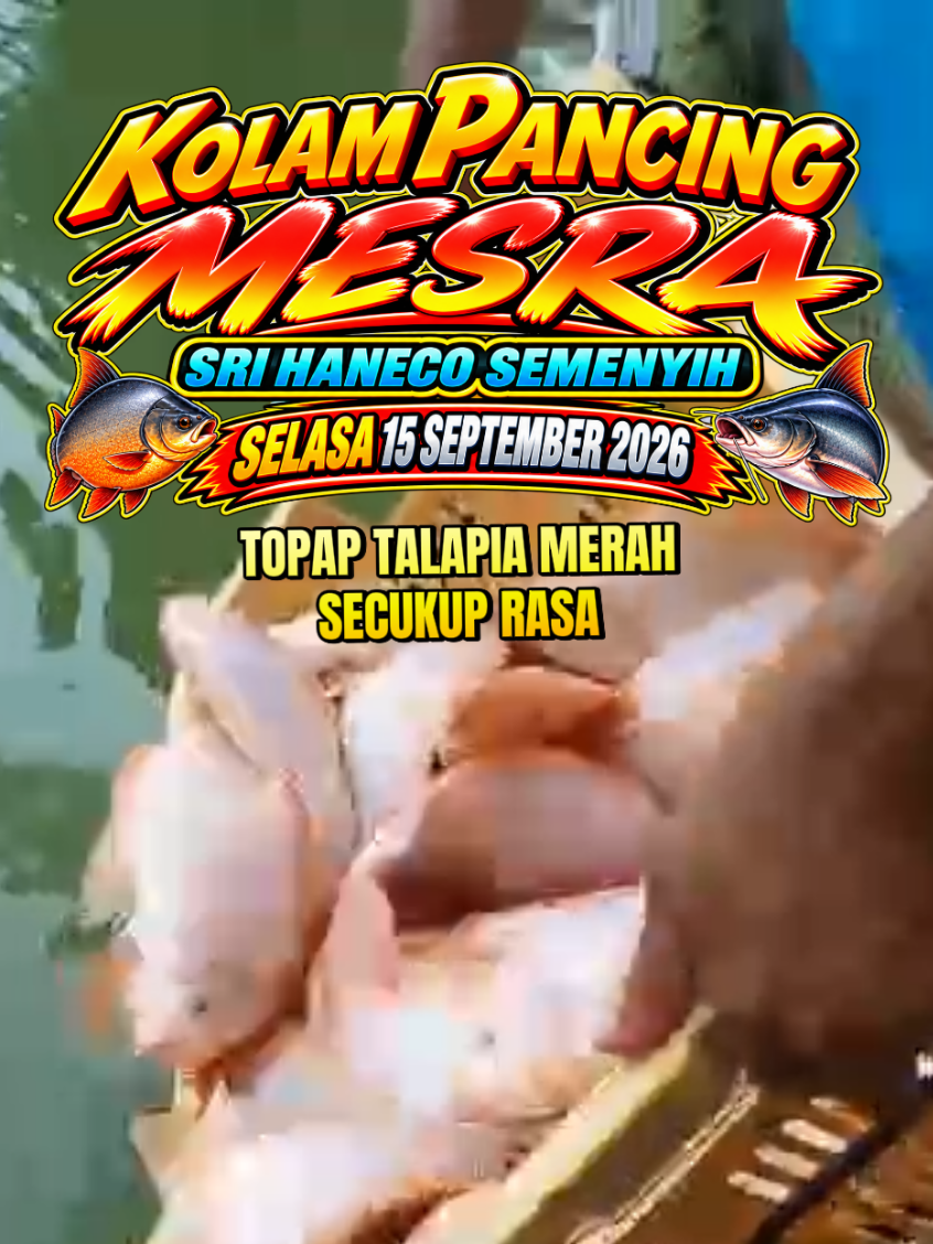 @SilatangBugis